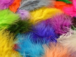 Colorful feathers