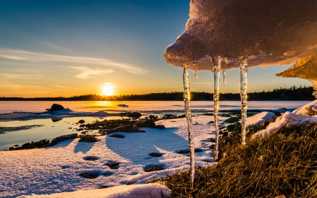 Winter - frozen, sky, winter, snow