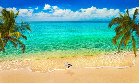 Beautiful Scenery - sands, nature, beach, sky