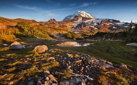 Mountain - rock, tree, nature, mountain