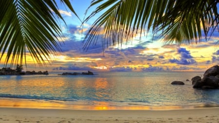 Tropical Breach - palm trees, sea, sand, beach