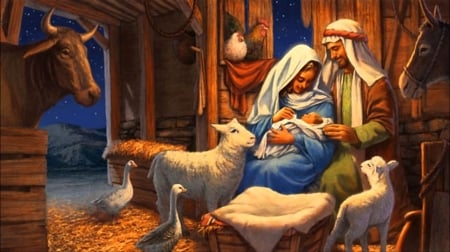 Nativity - christ, jesus, gospel, nativity