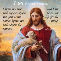 Good shepherd quote