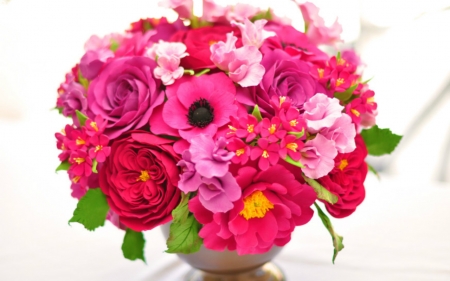 Beautiful Flowers - flowers, bloom, petals, pink