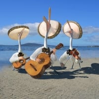 Beach Musicians