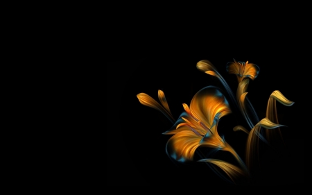 Flowers - black, orange, card, texture, flower, luminos