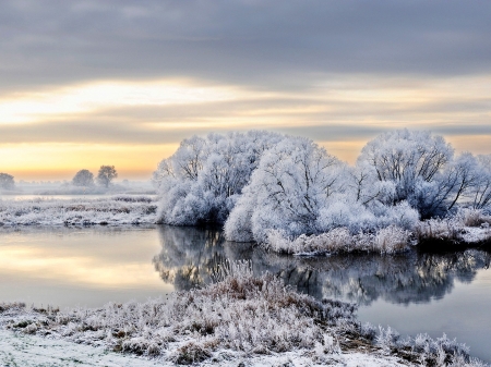 Winter River - white, nature, trees, reflection, snow, river, winter