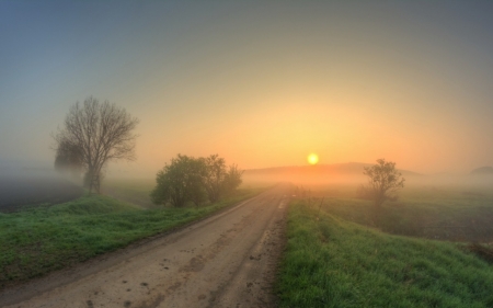 Early Morning - fog, mist, grass, sand, Morning