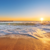 Sea