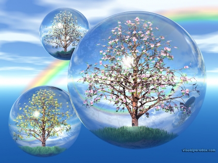 Bubble tree - bubbles, 3D, tree, sky