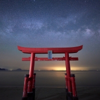 Torii Gate