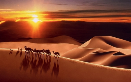 Desert Sunset - people, shadow, sand, animals