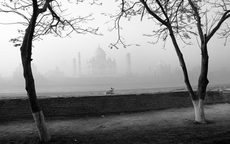 Taj Mahal - mahal, monument, taj, old