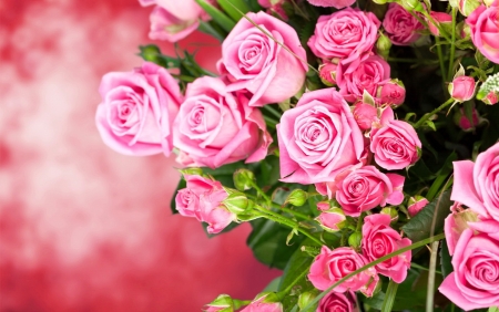 Pink roses background - fragrance, roses, background, bouquet, lovely, pretty, beautiful, pink, leaves, scent, flowers