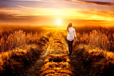 Golden Sky - sky, model, field, nature, woman