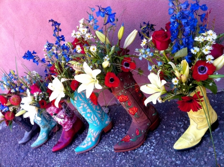 Colorful Flowers - lilies, blossoms, artwork, colors, boots