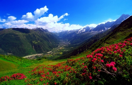 Carpathian Mountains in Romania - in, mountains, carpathian, romania, nature, grass