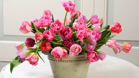 Flowers in a vase - flower, tree, pot, nature