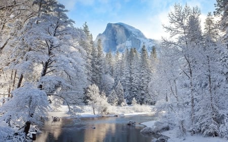 Winter Lake - nature, lake, landscape, trees, forest, snow, winter, mountains