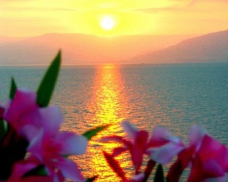 Beauty with no Words - nature, reflection, flowers, sunset, mountains, sea