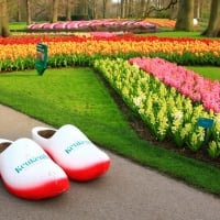 Keukenhof Special