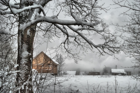 Winter House - winter, house, trees, snow