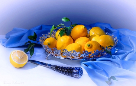 Blue and yellow - abstract, yellow, blue, photography, colors, still life, brightly colored, platter, arrangement, background, fruits, lemons