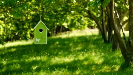 Spring - bokeh, nature, green, spring, grass, spring time, tree