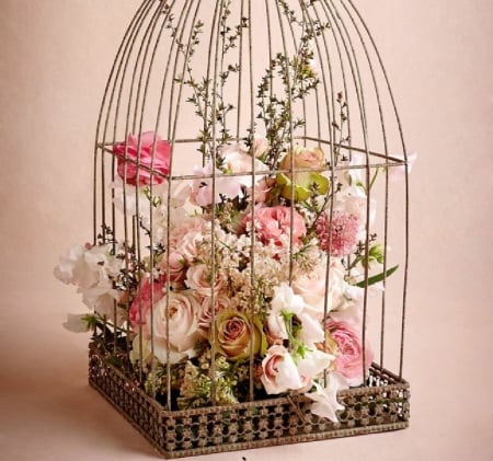 Rose Birdcage - abstract, roses, arrangement, birdcage, still life