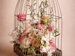 Rose Birdcage