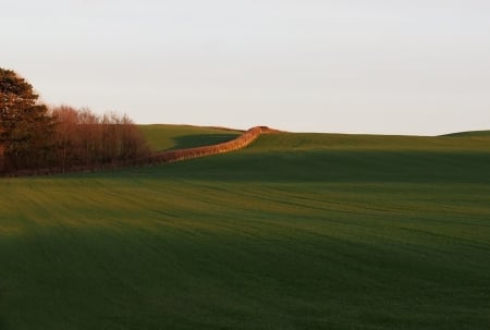 Lovely Fields - Grass, Countryside, Flowers, Fields