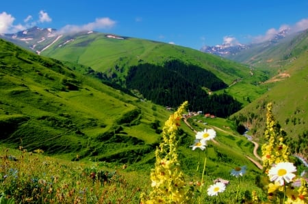 Mountain view - pretty, hills, beautiful, landscape, slope, spring, grass, mountain, village, wildflowers, view, nice, sky