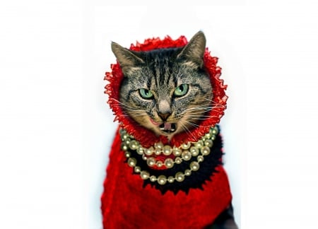 Lady VampireCat - beads, creative, cat, vampire, fantasy, pisica, necklace, white, animal, lady, funny, red, card