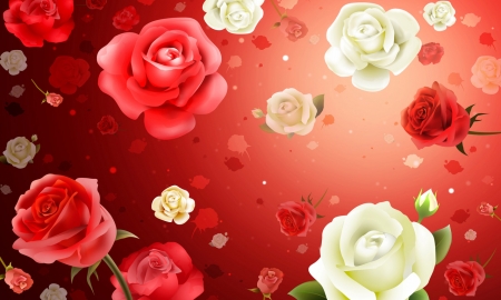 Roses - white, roses, background, red, wallpaper, flower