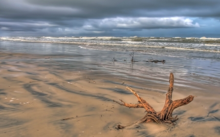 storm clouds above a beach hdr - clouds, beach, hdr, waves, sea, stormy, driftwood