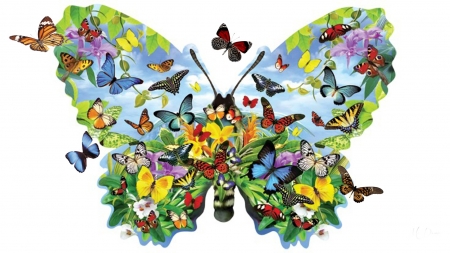 Butterfly - cg, fly, animal, butterfly