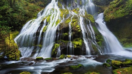 Waterfall - waterfall, leaf, tree, nature