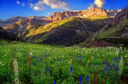 Mountainscape - sky, freshness, landscape, mountain, hills, greenery, meadow, lovely, spring, rocks, mountainscape, pretty, beautiful, wildflowers, cliffs