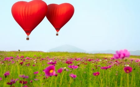 Happy Valentine's Day! - red, flower, pink, spring, card, valentine, heart, balloon, field, cosmos, couple, green