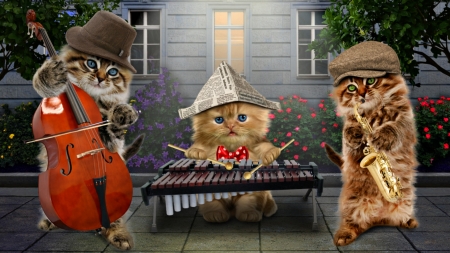 The kitties - hat, cat, music, band, instrument, funny, pisica, fantasy, creative, the kitties, luminos