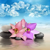 Zen
