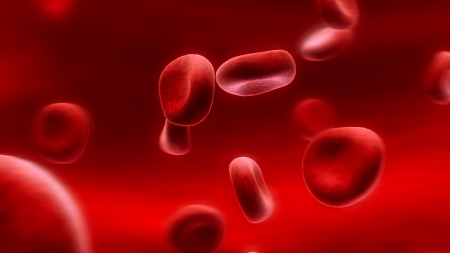 Red Blood Cells - Red, Cells, Art, Blood