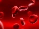 Red Blood Cells