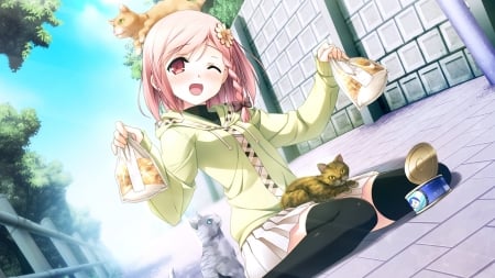 New friends - new friends, girl, cats, pink hair, anime, cute