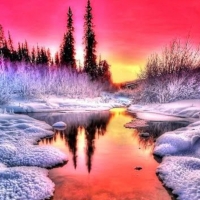 Winter Sunset ~ Dreamy Nature