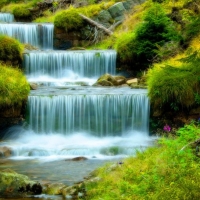 Water Cascades in Green Forest