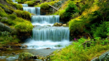 Water Cascades in Green Forest - nature, forest, cascades, water, green