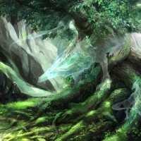 Spirits of the forest