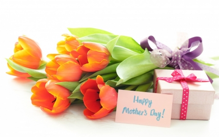 Mother's Day - gift, flower, day, Mother