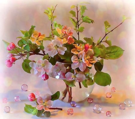 Spring - beauty, blooming, buds, bowl, spring, nature, red, pink, petals, flowers, twigs